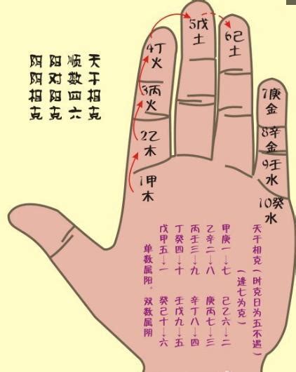 八卦指訣|掐訣